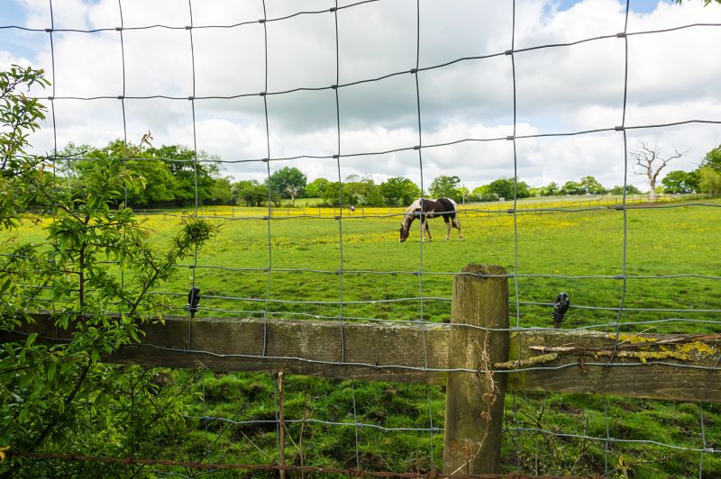 Pasture Fence Installation